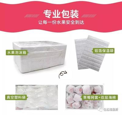 水果塑料泡沫包装